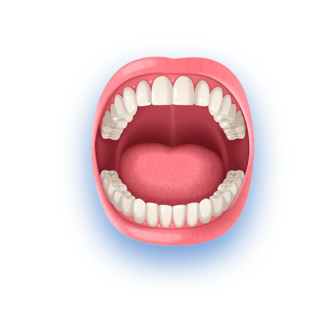 full mouth rehabilitation
